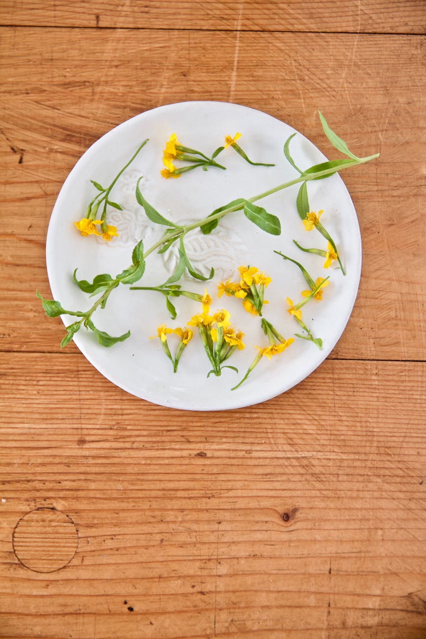 Sabzi Khordan Dip - Kräuter-Feta-Dip mit Walnüssen - Labsalliebe