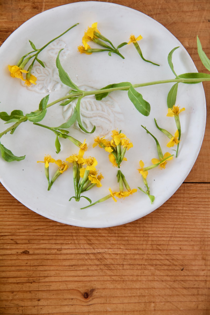 Sabzi Khordan Dip - Kräuter-Feta-Dip mit Walnüssen - Labsalliebe