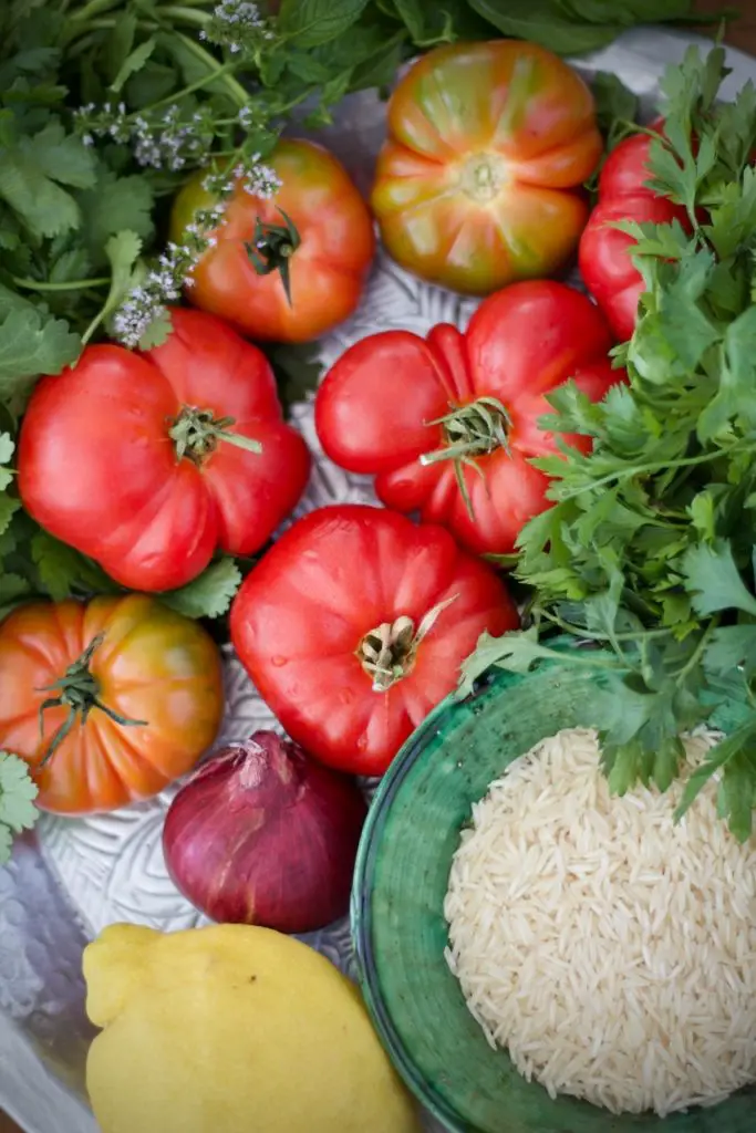 Dolmeh Godje Faranghi - Gefüllte Tomaten nach persischer Art