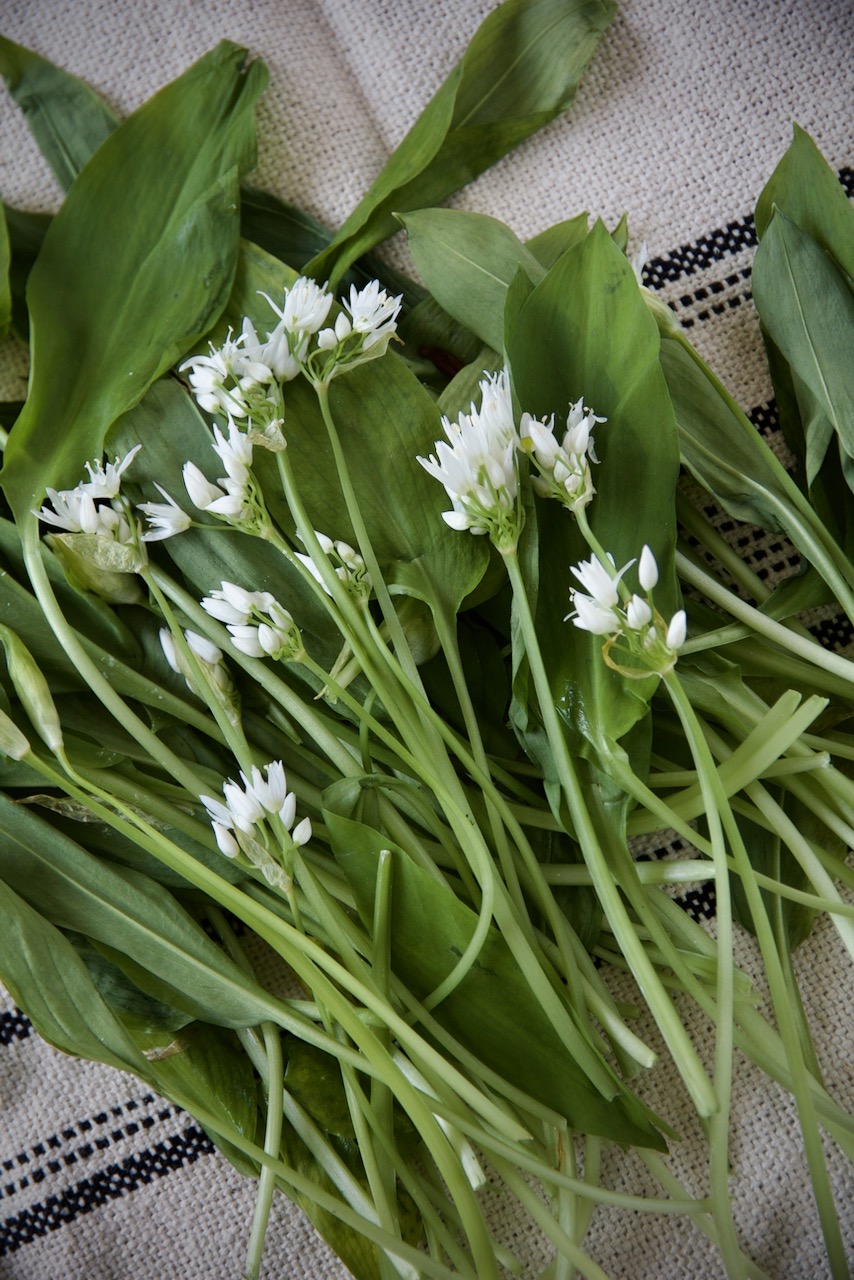 Bärlauch-Pesto mit Cashew und Feta - Labsalliebe Bärlauch-Pesto mit Cashew und Feta - Labsalliebe