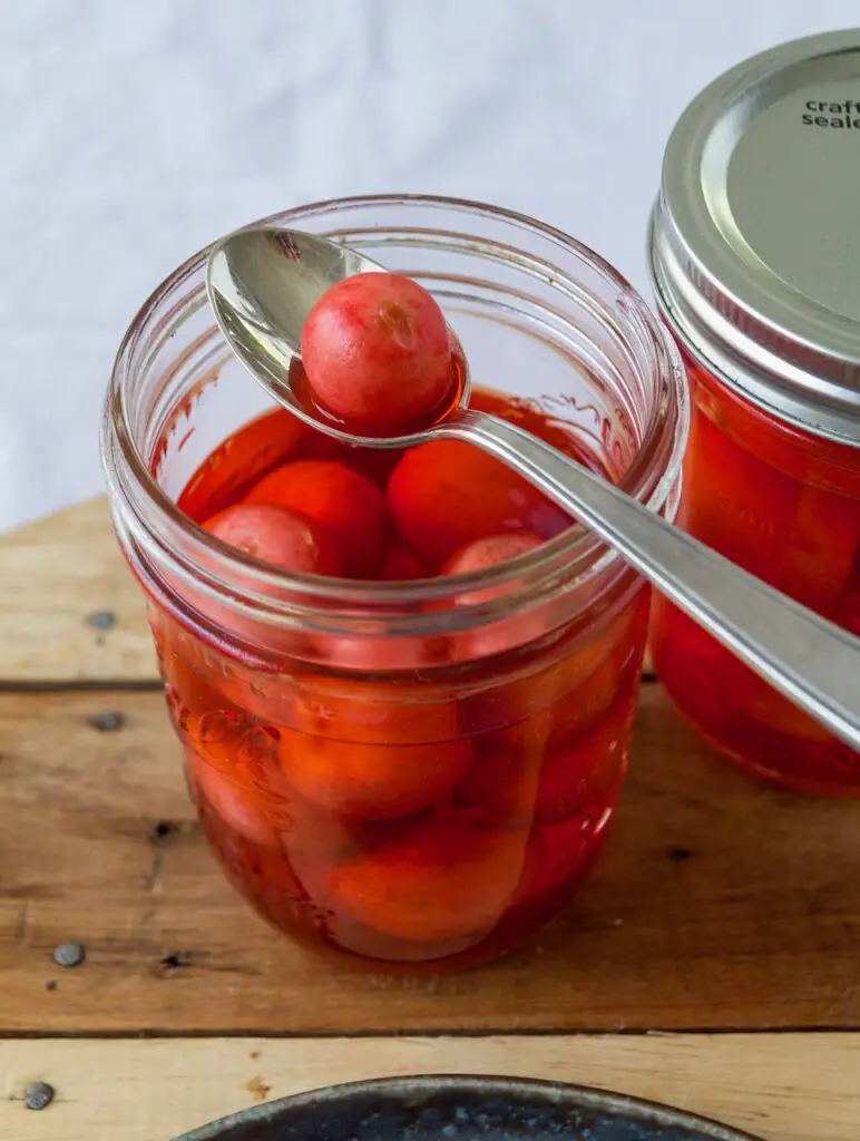 Torshi Torobche - Schnell eingelegte Radieschen ترشی تربچه - Labsalliebe