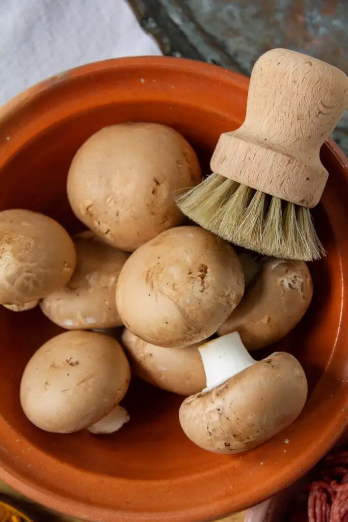 Pirashki Ghoosht- Persische Piroschki aus dem Airfryer