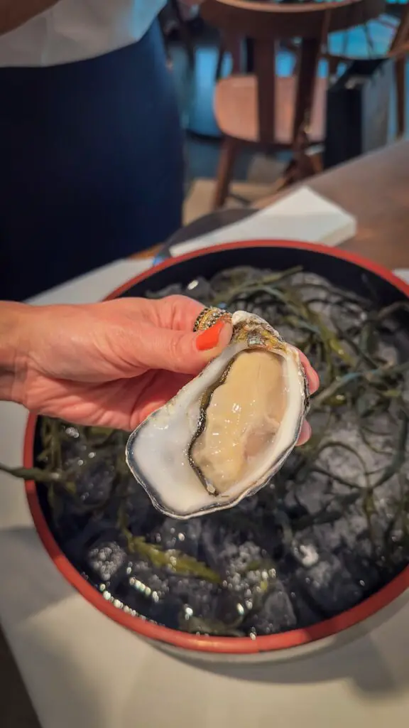 Sterne über Frankfurt - Michelin Warm-Up im Moriki