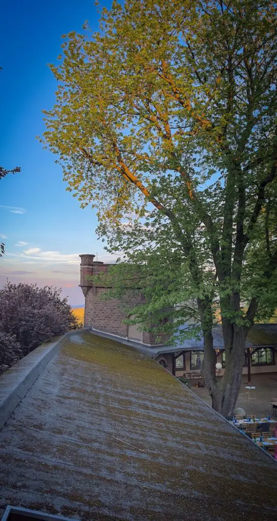 Txotx! Ein Hauch von San Sebastián mitten in Frankfurt