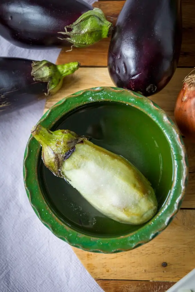 Shesh Andaz-e Bademjan - Vegane Auberginen in Walnuss-Granatapfel-Sauce